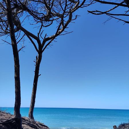 Mare Toscano Riparbella Exterior foto